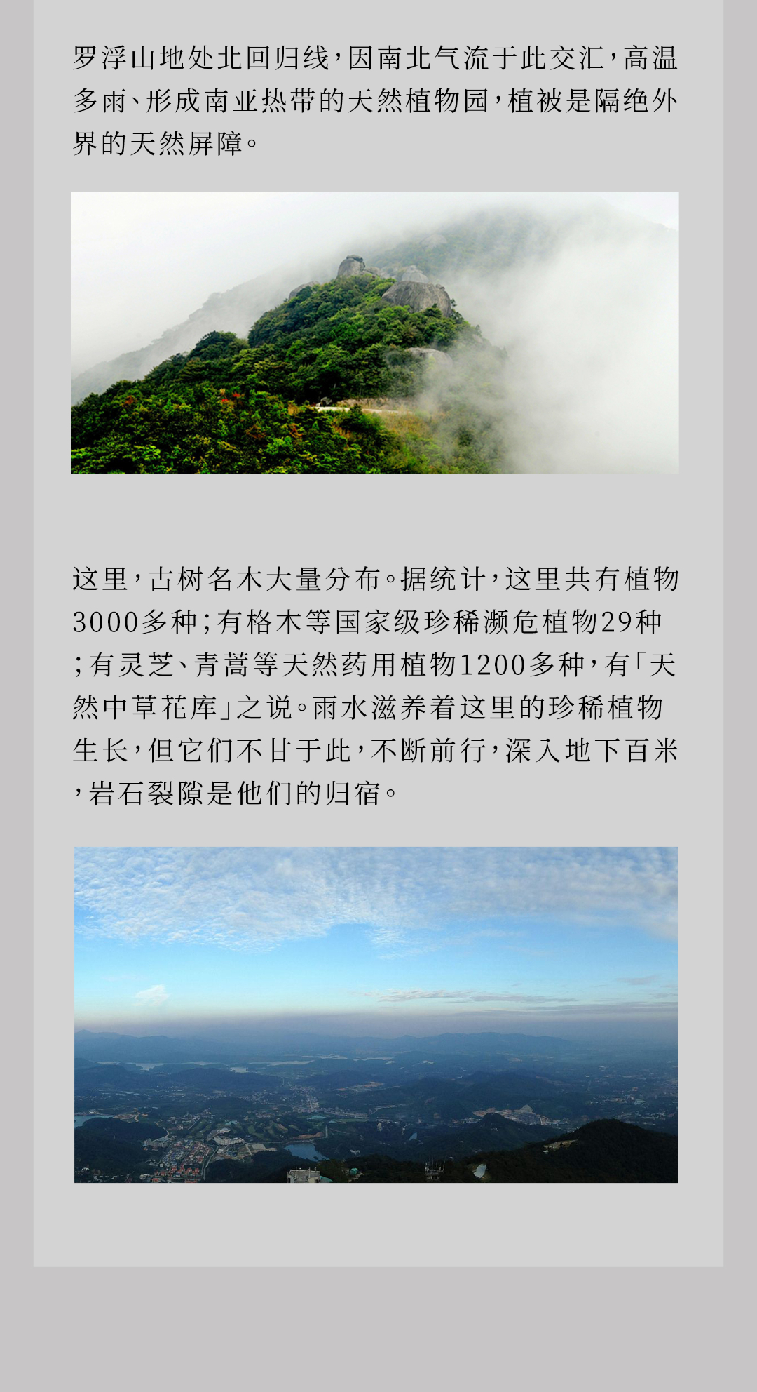 逐梦国际-专一品牌营销影视制作文化公司