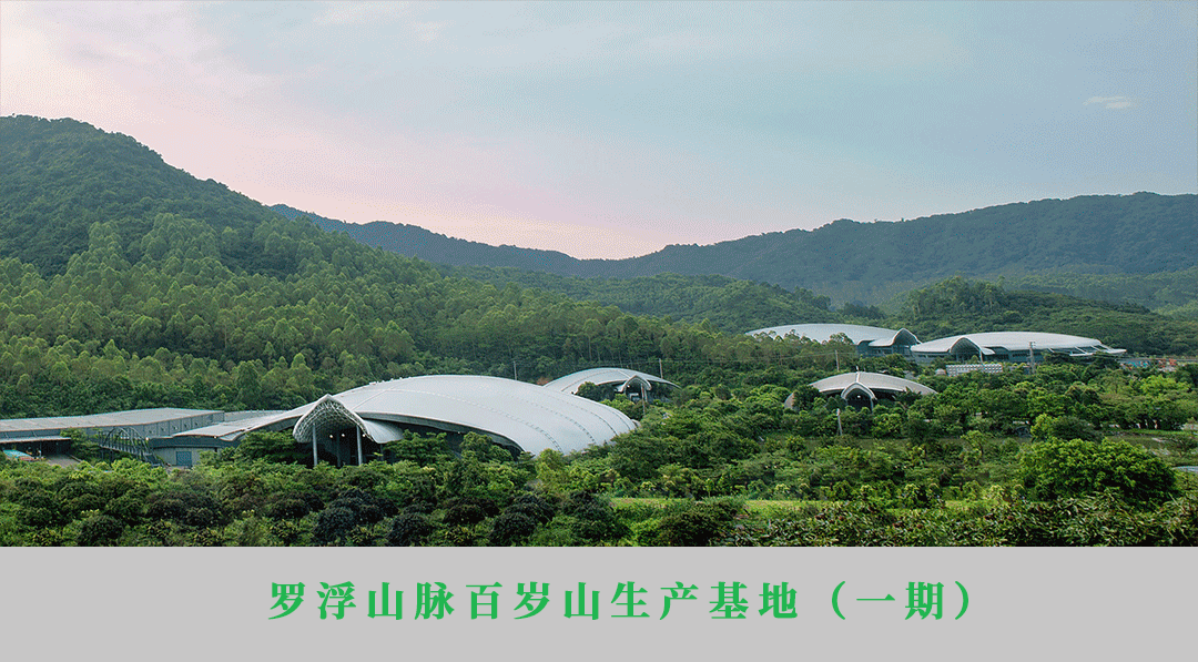 逐梦国际-专一品牌营销影视制作文化公司