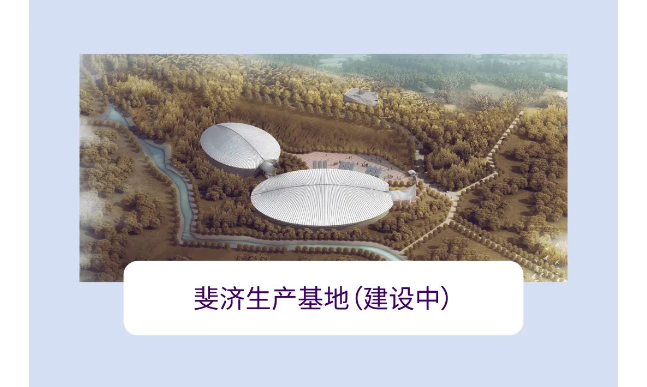 逐梦国际-专一品牌营销影视制作文化公司