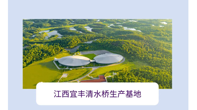 逐梦国际-专一品牌营销影视制作文化公司