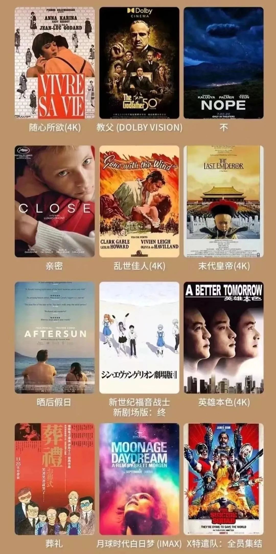 逐梦国际-专一品牌营销影视制作文化公司